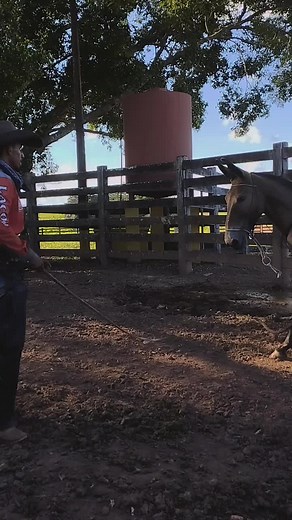 boiadeiro.mei.killo no TikTok