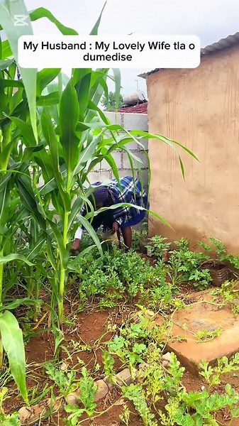 Promoting Small Businesses on TikTok: A Comprehensive Guide