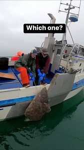 572K views · 3.3K reactions | Which one would you rather catch? We...