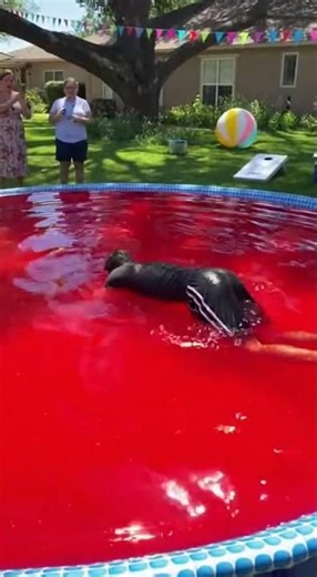 Man Tried The Jello Pool Again 💀😭 (Bad Idea) #jellopool #poolparty #fails #aicomedy
