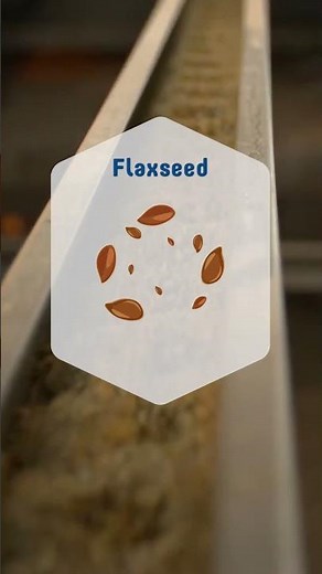 Naturegg Omega 3 Nestlaid Eggs