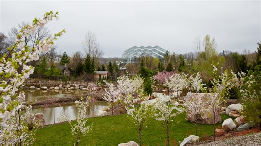 No surprise here | Frederik Meijer Gardens named Best Sculpture Park in the country