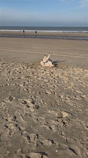Perfect Beach Valentine's Day with My Poodle