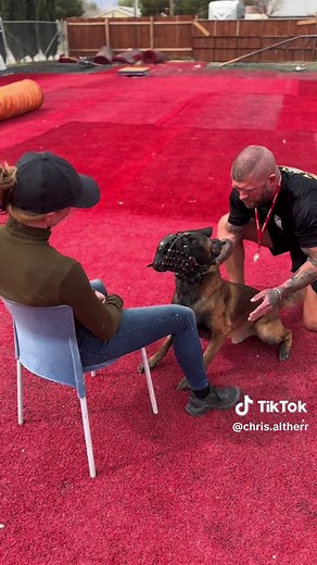 Training a Strong and Protective Guard Dog | K9 Unit Techniques