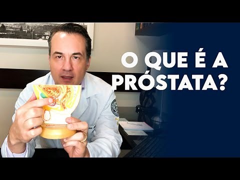 What is the prostate and where is it located? - Dr. André Matos Urologist