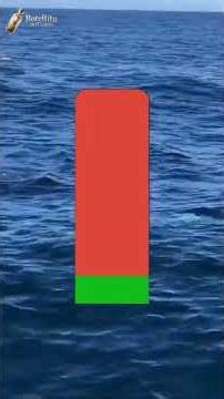 Seaspiracy 1 unsustainable fishing