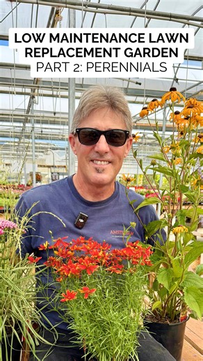 1.8K views · 578 reactions | Low-Maintenance Lawn Replacement ✨ Part...