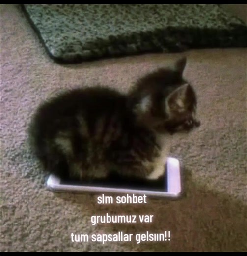 Creating Engaging Chat Groups