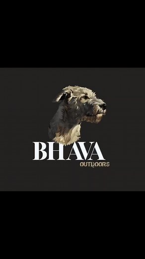 #bhavasteekhare #huntinginafrica #greyhound #hunting #predatorcontrol #runningdogs #jackalhunting #outdoors #huntingseason @juannieuwoudt225 @krokkie0