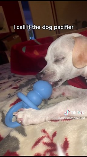 Kong Teething Toy for Dogs | Puppy Teething Relief