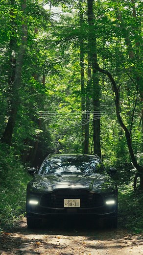 【アストンマーティン東京 試乗お申し込みのご案内】 アストンマーティン東京では、試乗のお申し込みを受け付けております。 ご試乗いただける車種は以下の通りです。 ・DBX707 ・DB12（Coupe / Volante） ・Vantage ・Vanquish（Coupe / Volante） アストンマーティンならではの世界観をご自身でご体感ください。 当ページよりご希望の車種と日時をお選びいただき、フォームにご入力の上、お申し込みください。 皆様からのお申し込みをお待ちしております。 | Aston Martin Tokyo（アストンマーティン東京）