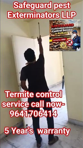 Top Termite Pest Control Services Near You | Reliable & Affordable #pestcontrol #termitetreatment