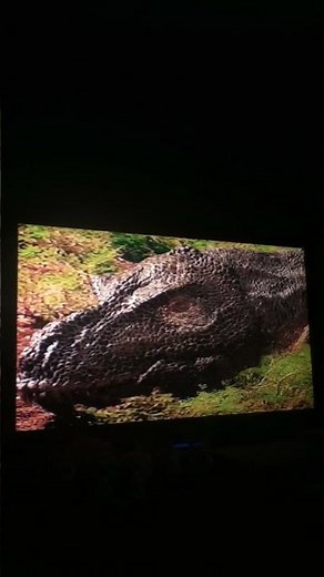 Walking With Dinosaurs Death Of A Dynasty The Mother Rests