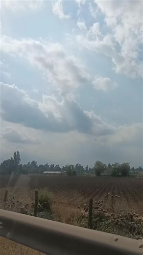 Videos de Ana te sigue ✨ oveja (@1_haydee_1) con “original sound - Vinilos Clásicos”