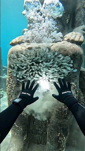 A: What was hidden inside Anubis? 🏺🔱 #ocean #underwater