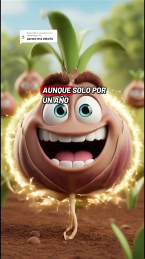 Respuesta a @danielitha2220 muchos dijeron lo mismo, asi que me pareció buena idea contar este dato curioso de los tulipanes y sus bulbos en 1636 en Países Bajos #tulipanes #tulips #cebolla #bulbos #flores