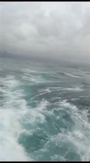 Deport to the sea longline Pacific #commercialfishing #longlinefishing #abk