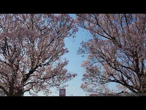 [Breaking News🆕‼️] Live performance announcement for March 23rd (Mon)🌸 'Spring in Town'