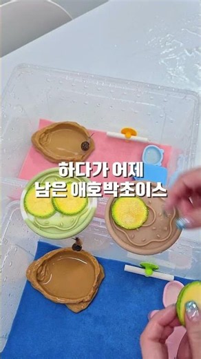 달팽이 생존신고 #달팽이 #명주달팽이 #흑명주 #달팽이집사 #팽집사 #달팽이키우기 #달팽이사육 #달팽이하우스 #달팽이밥주기