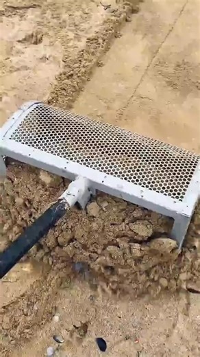 18K views · 216 reactions | Another day, another amazing beach haul! ️ We started with a silver ball chain and some fishing line, but you have to stick around for the grand finale! That stunning gold-tone ring with the HUGE red gem is a showstopper! Never stop sifting#BeachTreasure #TreasureHunt #MetalDetecting #FoundOnTheBeach | beach.clean.up | Facebook