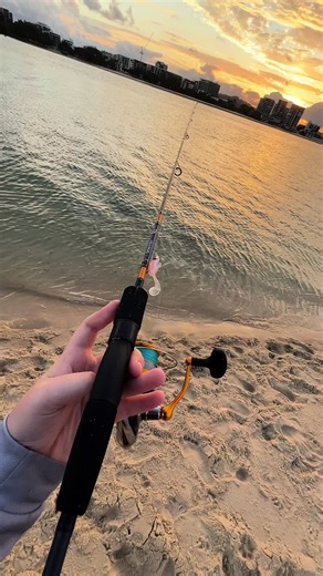 Lil micros #clean #fisho #micros #aus #viral