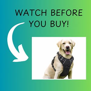 Watch Honest Review of Dog Harness! on Amazon Live