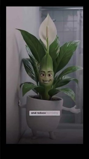 6 Best Air-Purifying Plants For Every Room In Your Home. #airpurifying #greenair