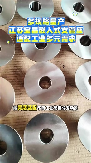 SWEEPOLET，多规格量产！江苏宝昌嵌入式支管座适配工业多元需求 ,浮桥嵌入式支管座工厂价格,N08825马鞍座免费设计方案,304L嵌入式法兰支...