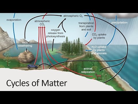 Cycles of Matter