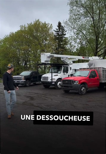 Tree Removal and Pruning Services in Quebec City