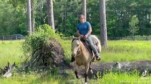 2K views · 37 reactions | To be at sale 6/18/2022 Gracie is a 3yr old 14.2h buckskin mare. Gracie is a super sweet mare with a great start on life! She’s been working in the cow pens and pasture roping for the last year. She open and closes the gates, checks fences, pasture ropes and goes right through water! Nothing bothers this young mare! Gracie would also excel in the English world with her flashy looks and super cute flat trot! | Woods Livestock Auction | Facebook