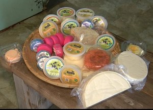 No more milk: A Big Island dairy’s closure is impacting an Oahu farm’s operations