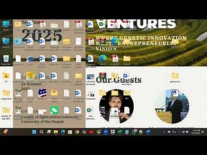 common error and troubleshoot during synteny and dual synteny