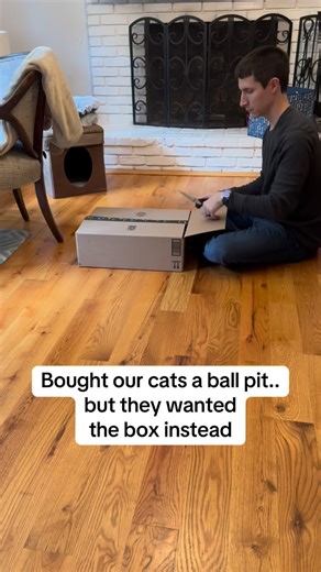 7.8K views · 139 reactions | They now have a ball pit filled with toys AND a nice new box to play in #orangecat #cat #cats #catsofinstagram #cats_of_instagram #catlover #orangecats #catlife #catdad | The Orange Boys | Facebook