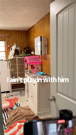 Behind the scenes with Buster & The crew | fowl language alert #parrot #fypシ゚viral #funny #rant