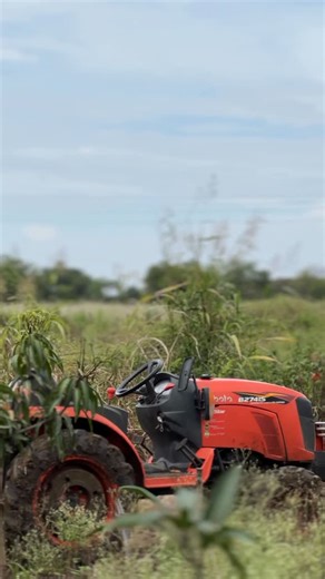 AGRI. Tech on Instagram: "KUBOTA KING 👑#shetkari_brand🌾💪✌️💯❣️ #bsc #tredingreels #brand #student #boostmyreels #shetkari_brand🌾💪✌️💯❣️ #grapes🍇 #शेती #trend #boostmyreels #instavideo #boostmyreels #king #kubotalovers♥️🚜 #farm #sheti #बागायतदार🌱शेतकरी #bagaytdar_👑💸😎❤️"