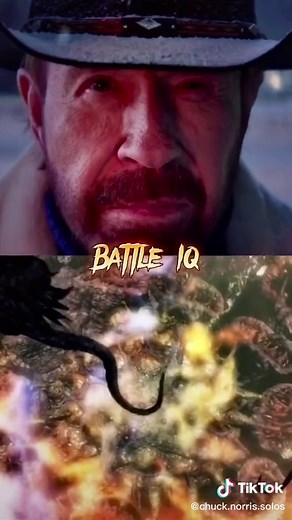 Chuck Norris Solos Fiction on TikTok