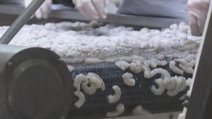 Shrimpers struggling to find buyers