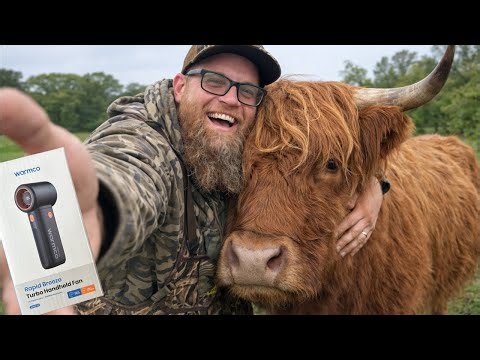 I Gave a Highland Cow a Chainsaw… and a Welcome Sign (This Got Weird) featuring Warmco personal fan