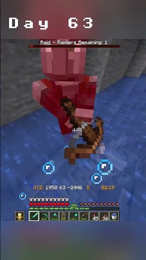 Day 63 - 1 Advancement a Day: Hero of the Village | Minecraft Shorts | Ruemis