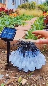 297K views · 2K reactions | Solar string light #stringlights #solarlights #outdoorlighting #HomeDecor #newyear #shortsreels | Best unique items | Facebook