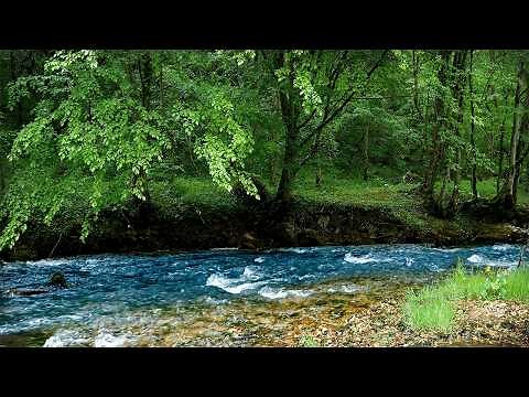 Native American Flutes and Rain - Music for Sleep, Relaxation or Meditation