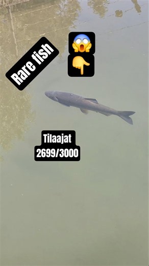 kala #kalastus #fishing #suomi #hauki #ahven