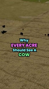 🤔 Farmer earns $86/acre grazing? 💡 On Ryan Urban’s diversified farm in south-central South Dakota, cattle aren’t an add-on—they’re part of the business model. By grazing crop aftermath, standing cover crops, and winter rye, Ryan estimates his operation captures about $86 per acre in value that strict cash-grain systems often miss. 🐂 The result? • Lower feed costs • Better nutrient cycling • Rising organic matter • Stronger economics across both crops and livestock This isn’t about running mor