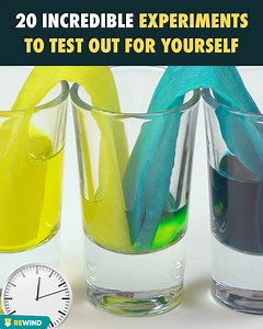 1.8K views | 20 incredible experiments to test out for yourself | Rewind | Facebook