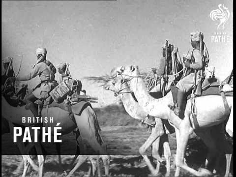 Somali Camel Corps (1943)