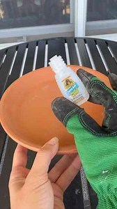 Easy DIY Mosquito Repellents That Really Work!