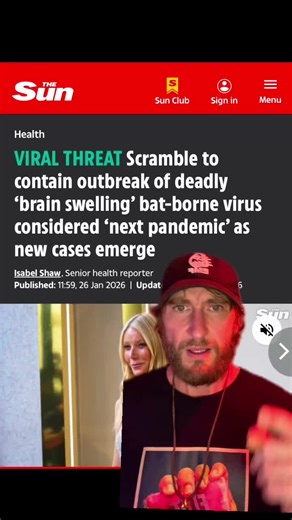 Bat shit crazy #bats | bat