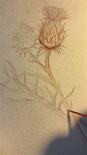 Work in progress, Máriatövis. www.kopiasart.jimdo.com