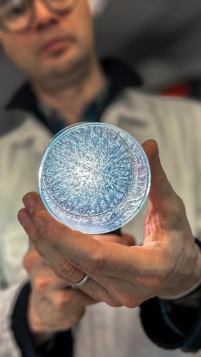 [Festival Curiositas @culture_upsaclay] Visites Olfactives avec Julie C. Fortier, artiste plasticienne 🎨, et Olivier David, chimiste 🧪. 🌿 Récolte de végétaux aromatiques 🍃 Extraction des plantes choisies 💧 Réalisation d’une huile essentielle 💎 Création de cristaux odorants 👃 Séance collective pour découvrir les essais produits Un mélange parfait d’art, de chimie et de nature! Merci à tous les participants et participantes ! @etudiantgouv #chimie #matiereodorante #parfum #nez #ILV | UVSQ -